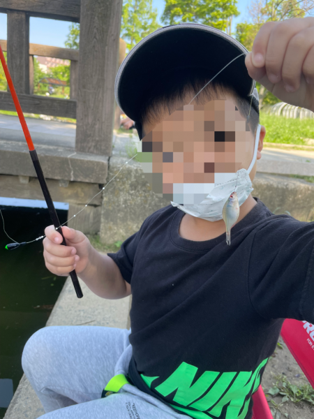 親子でタナゴ釣り