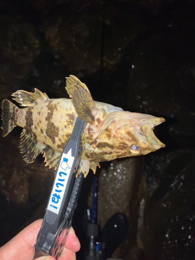 激渋メバリング