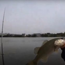 激ムズの昼の琵琶湖
