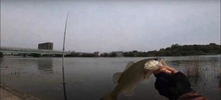 激ムズの昼の琵琶湖
