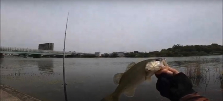 激ムズの昼の琵琶湖