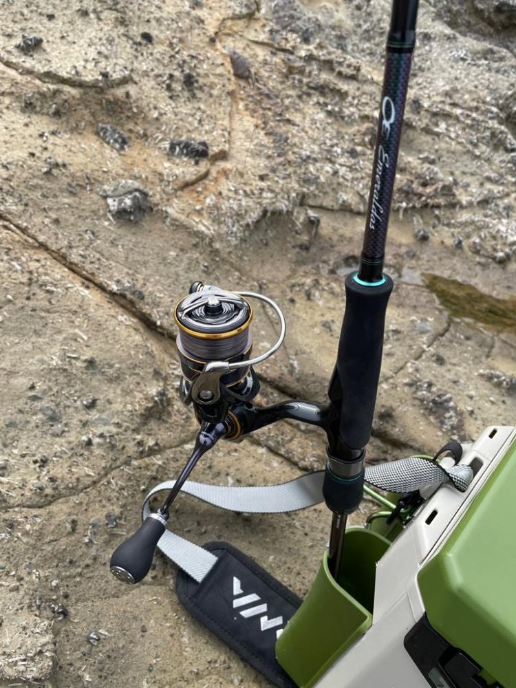 またまたマゴチ