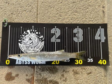 カマス狙いで初遠征