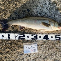 その後、このあと