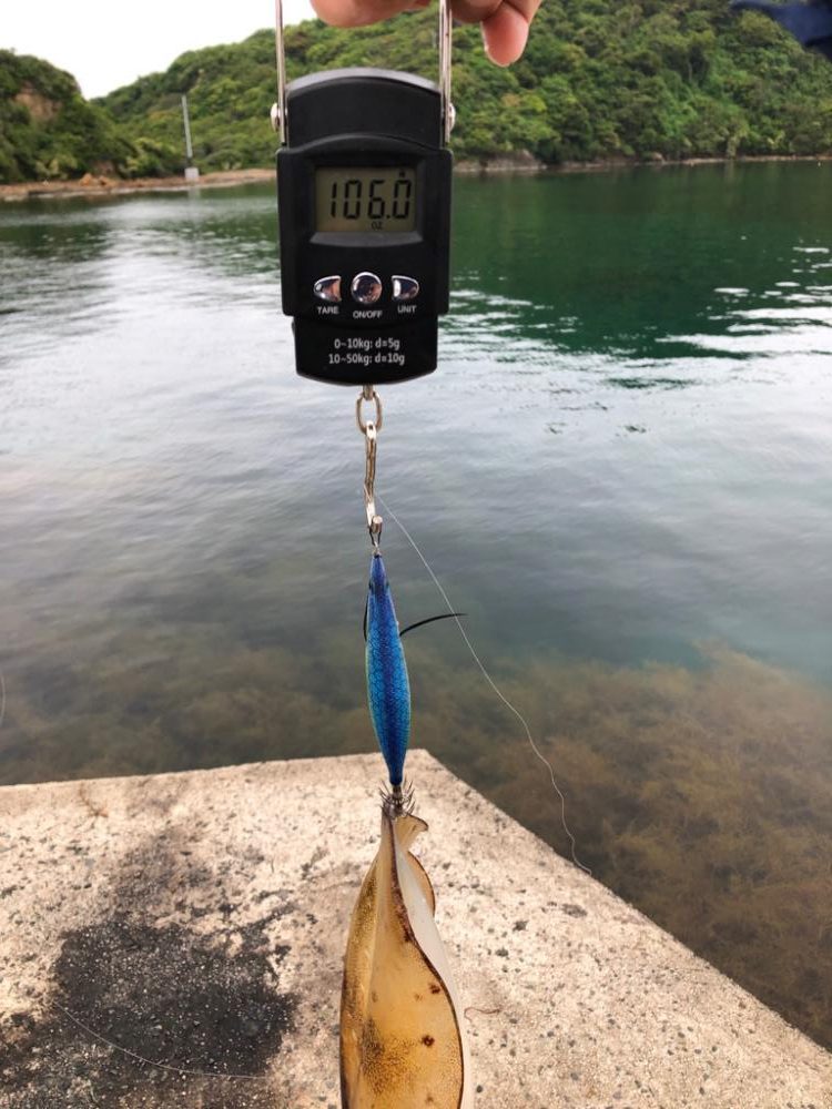 霧雨の中のエギング！