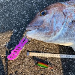 ジャックアイグロッキーで自己記録更新の大真鯛！