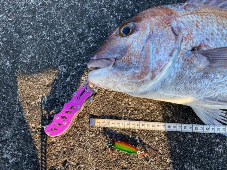 ジャックアイグロッキーで自己記録更新の大真鯛！