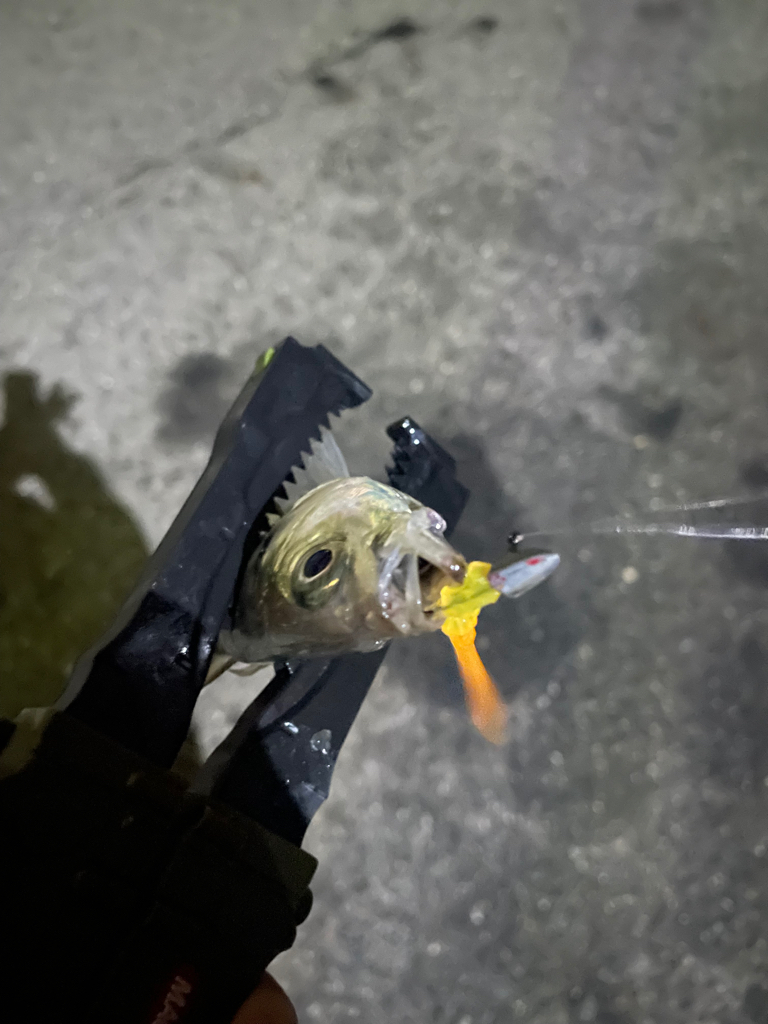 雨が降ったら終了