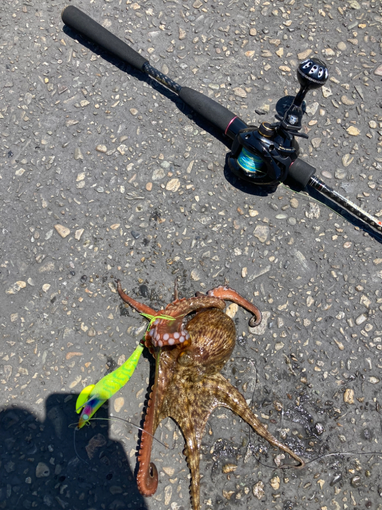 ⭐︎新規開拓へ