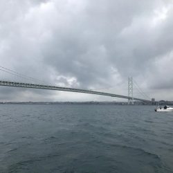 明石海峡の青物ジギング