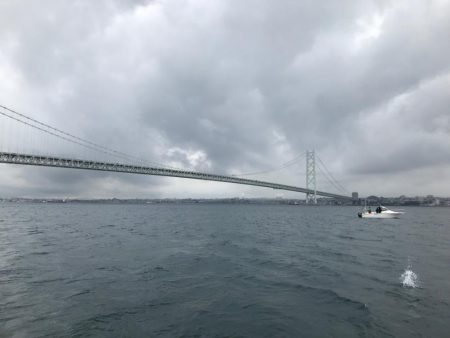 明石海峡の青物ジギング