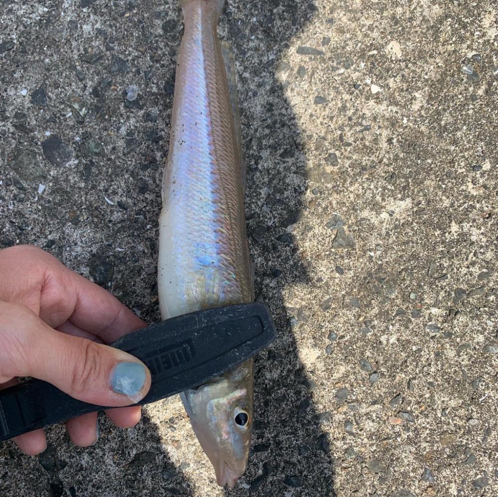 特大キスget‼︎