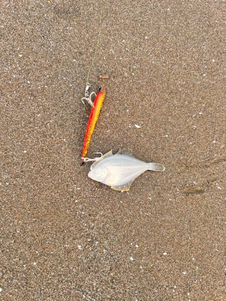 ショアジギング