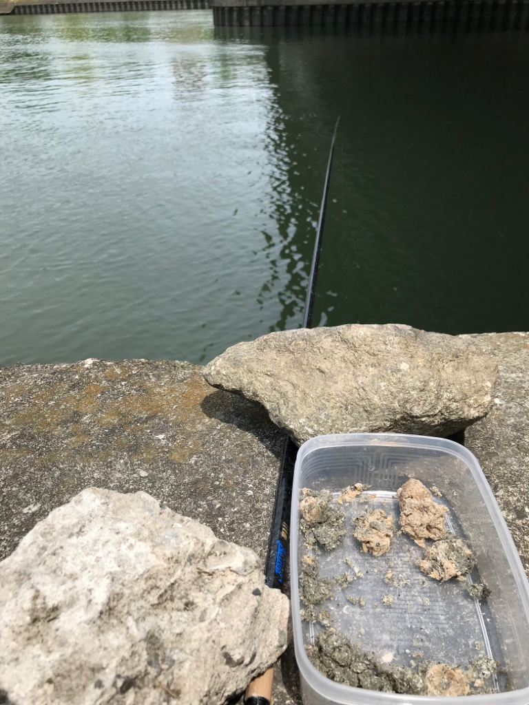 稚鮎サビキの集大成に