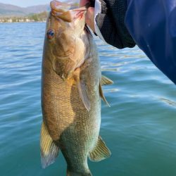 野尻湖スモールマウスバス