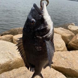 タックル入魂！