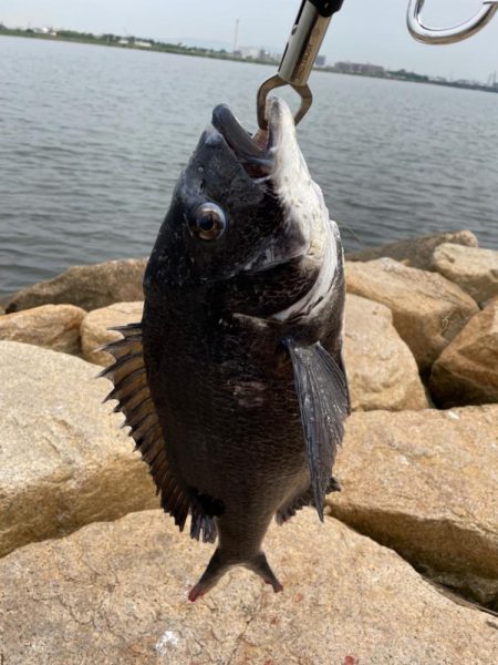 タックル入魂！