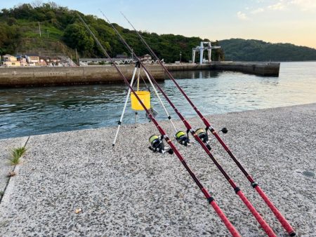 投げでキジハタ狙い