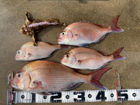 一つテンヤ❗️…