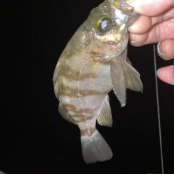 ちょっと寒かった