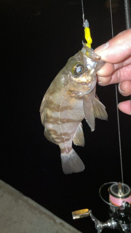 ちょっと寒かった