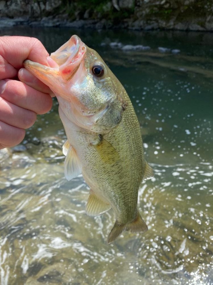 ゴールデンウィークの最後に