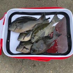 絶好調の磯は果たして！？