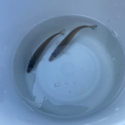 キスはまだ早かったかな？