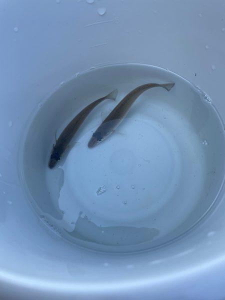 キスはまだ早かったかな？