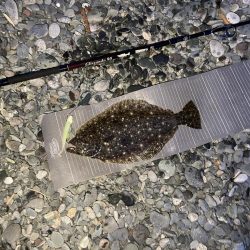 初投稿！初釣果は…