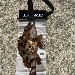 やっぱり釣りは楽しいなぁ