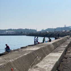 ちょい投げキス釣り