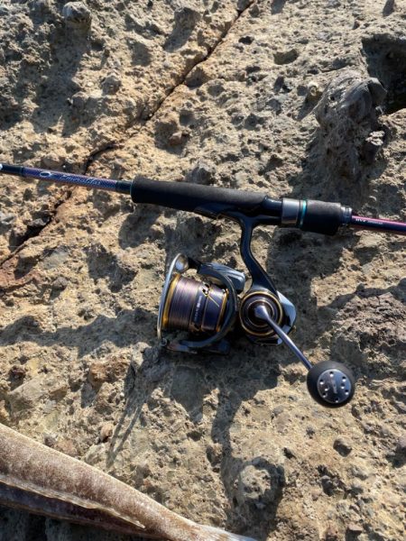 エギングの間にフラットフィッシュ