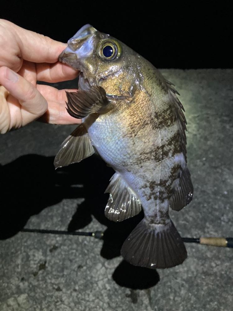 ジグ単ドリフト