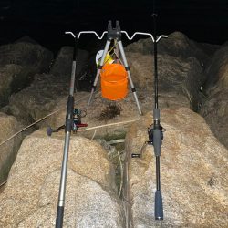 チニングのつもりが…