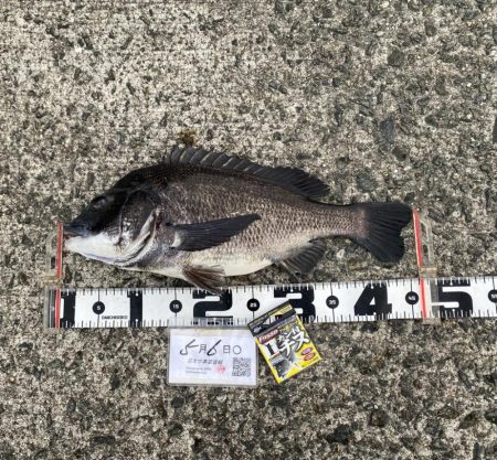 微妙なアタリ DAY1