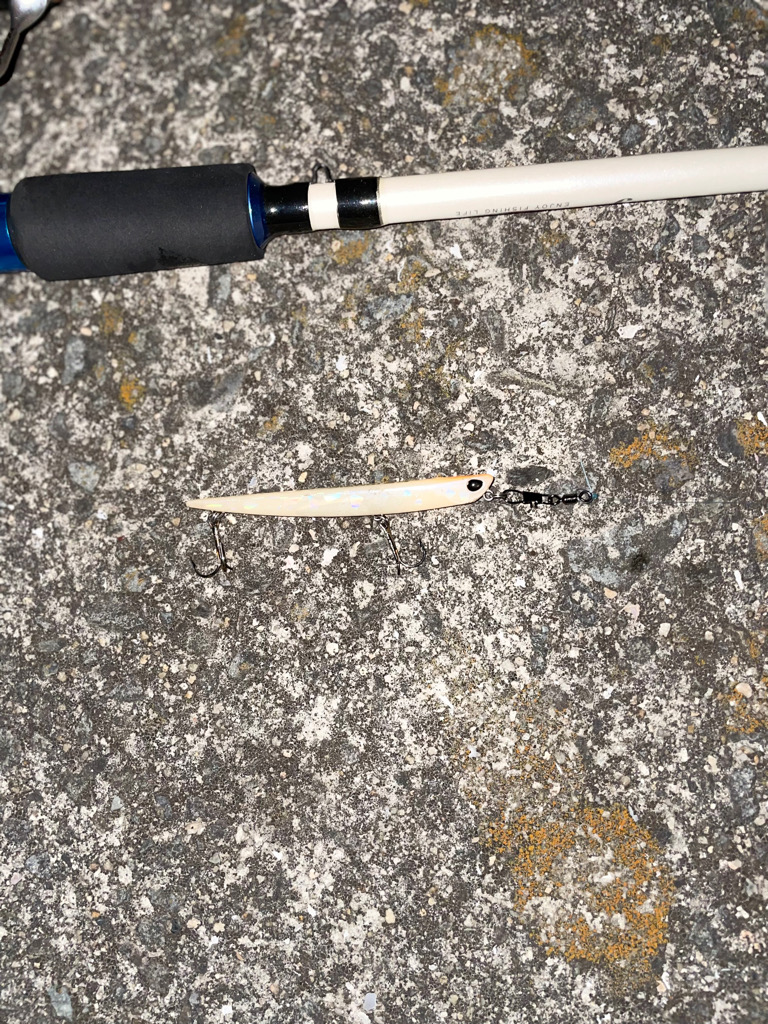 バチ抜けシーバス　