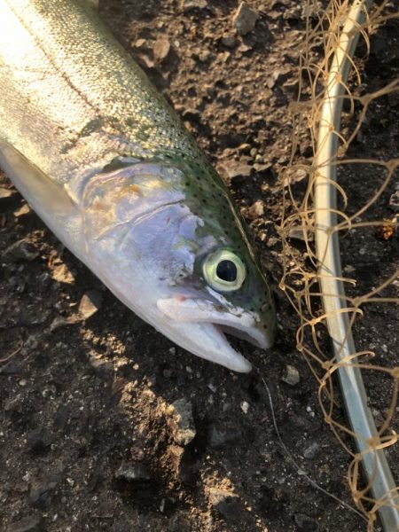 そろそろ終わりかな