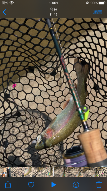 熱々エリアトラウト！