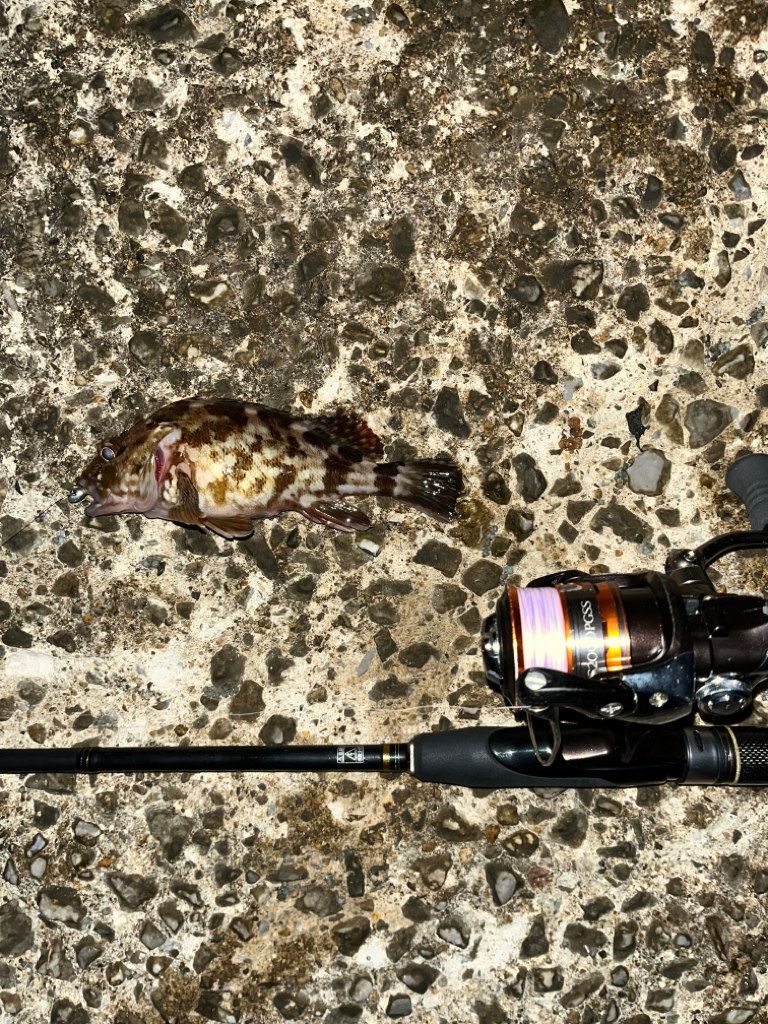 季節の変わり目