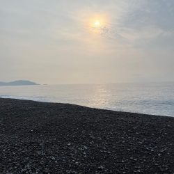 ライト青物ゲーム