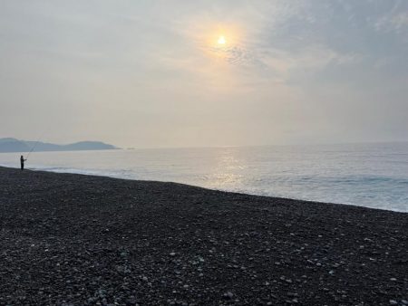 ライト青物ゲーム