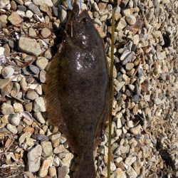 カヤックフィッシング