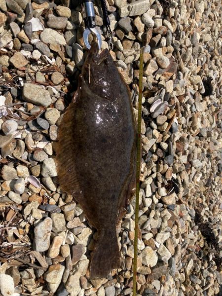 カヤックフィッシング