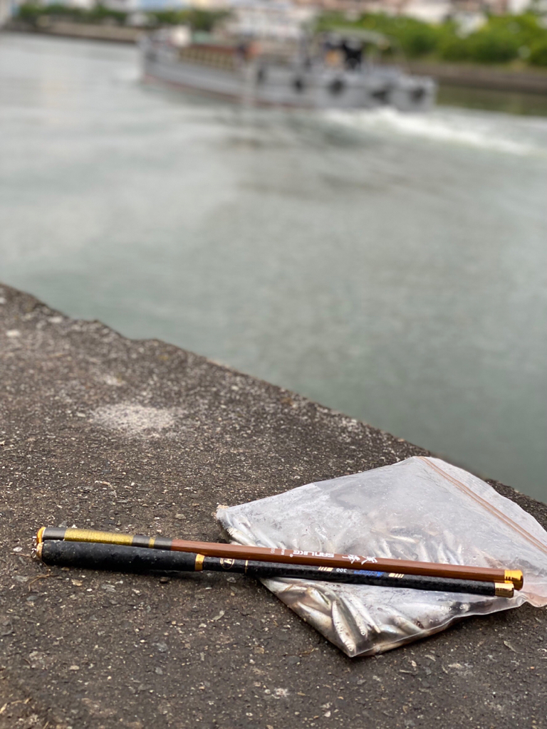 カンパリユーザーさんとご一緒に、稚鮎サビキ