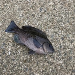 親子でのんびり