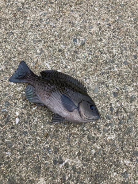 親子でのんびり