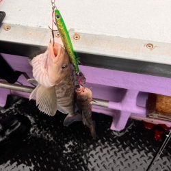 オフショアジギング