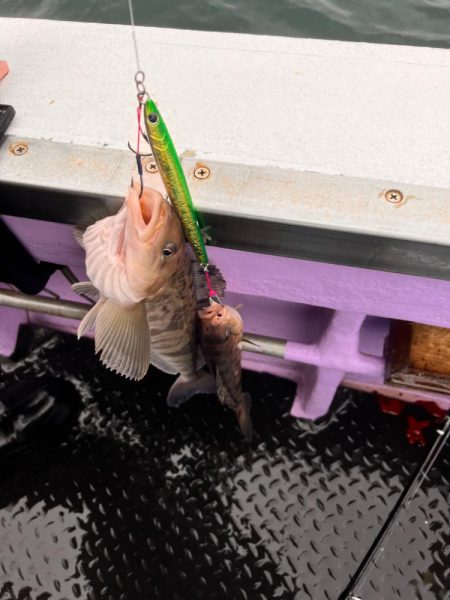 オフショアジギング