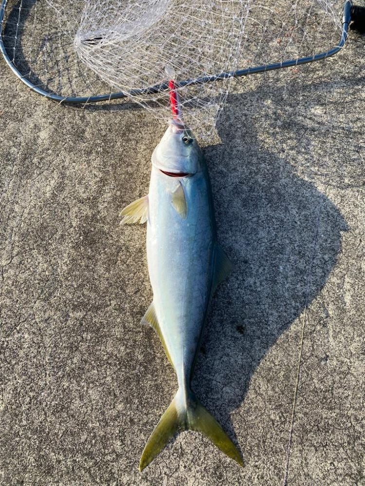 ファミリーフィッシング